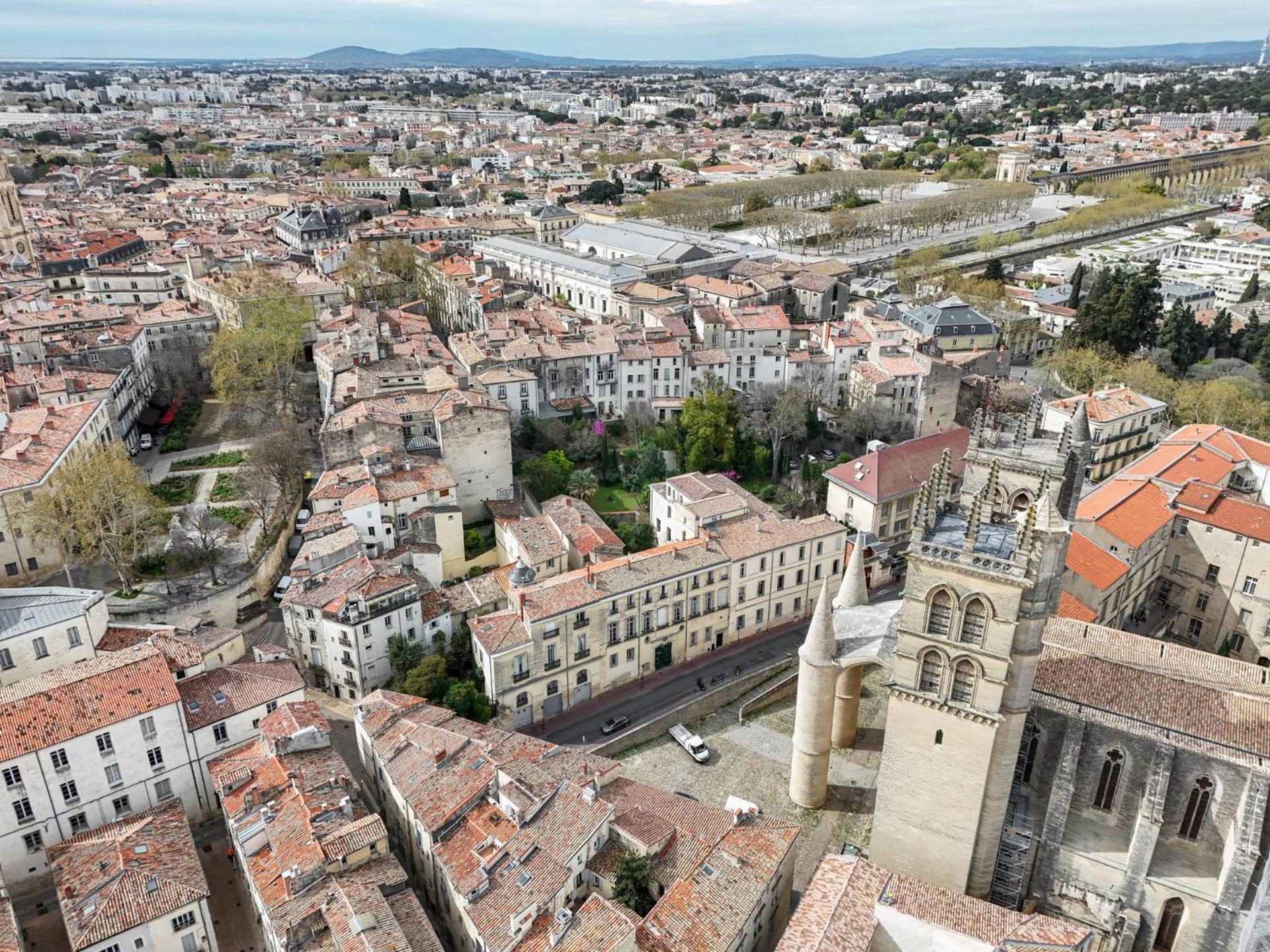 La Terrasse, Vue Sur Les Toits De Montpellier 아파트 외부 사진